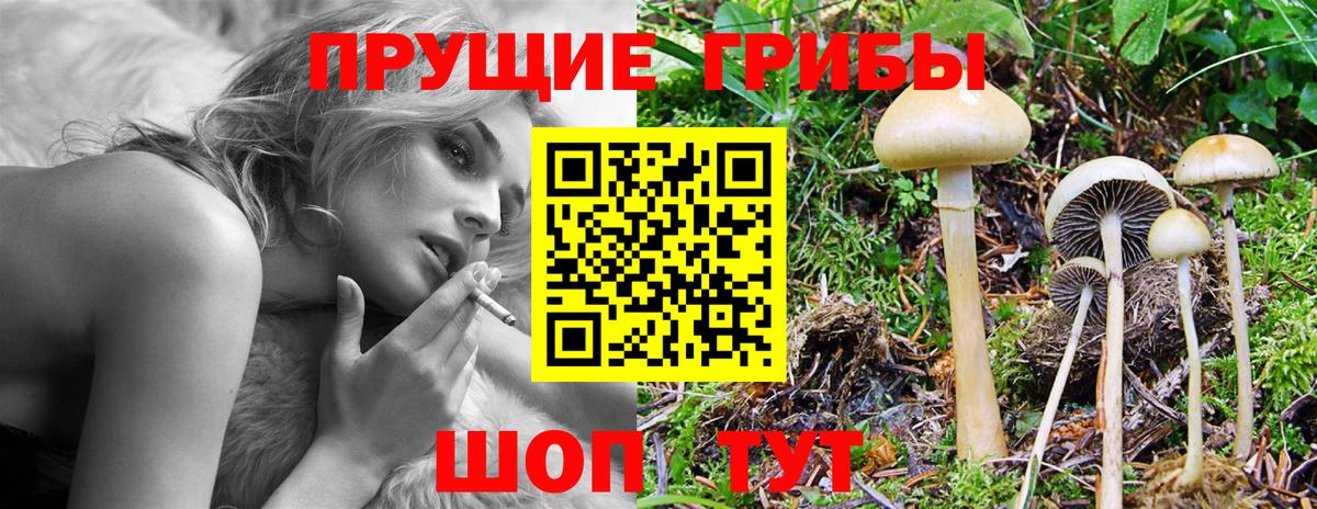 Псилоцибиновые грибы GOLDEN TEACHER  Псилоцибиновые грибы Psilocybe  Вход с VPN  Родники 